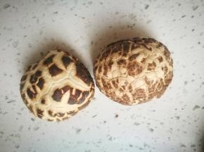 质量好的干花菇