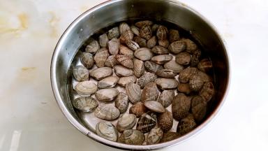 花蛤用盐水寖泡一晚。