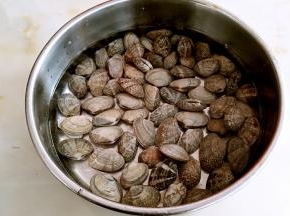 花蛤用盐水寖泡一晚。