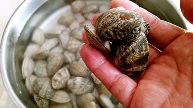 食用前在搓洗几遍表面。
