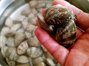 食用前在搓洗几遍表面。