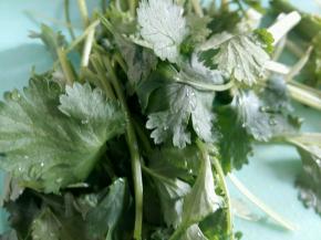 香菜切5厘米左右的段。