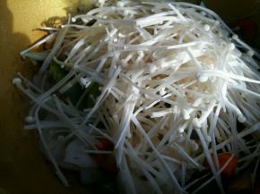 金针菇容易熟最后放。