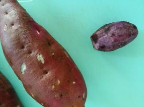 白薯洗净，紫薯去皮。