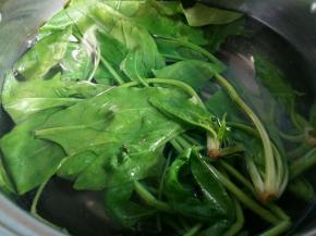 菠菜洗净，开水下锅焯熟。水里放些盐，可以让绿色保持的更好。