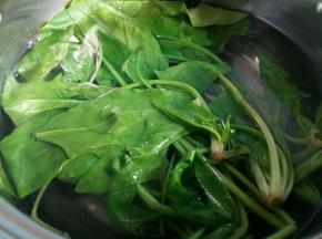 菠菜洗净，开水下锅焯熟。水里放些盐，可以让绿色保持的更好。
