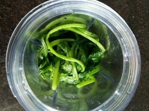 菠菜放入料理机，加入少许水，打成菠菜泥。