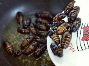 待油温升高时再将蚕蛹倒入锅中，复杂一次，这样蚕蛹的外皮特别酥。