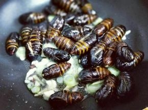 再将炸好的蚕蛹倒入锅中。