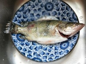 桂鱼，请店主帮忙杀的。