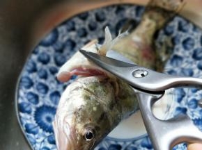 清洗干净，去鳞，去鳃，取出内脏。