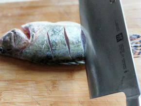 洗干净的鱼，鱼身体两面用刀划几道，不要太深，