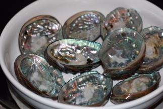 把洗干净的鲍鱼壳放进盘子里