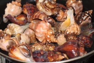 加入足够的清水