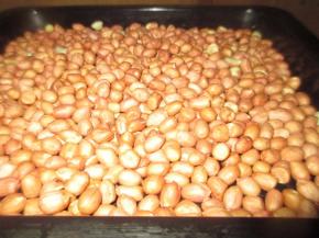 花生放进烤盘里