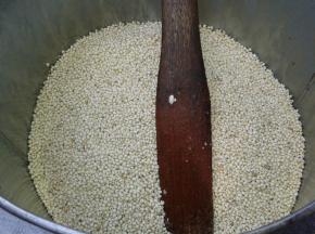 听的膨的一声，小米就爆好了 把爆好的小米从袋子里取出来放进容器里
