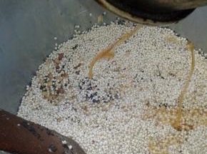 倒进装有小米的容器里，快速拌好