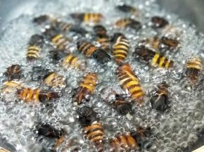 首先将蚕蛹冲洗干净，之后焯水。煮至2-3分钟。