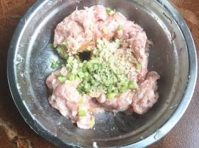 在搅打起劲的肉里加入胡椒粉，生抽，白糖，姜末，葱花，鸡精，蚝油。