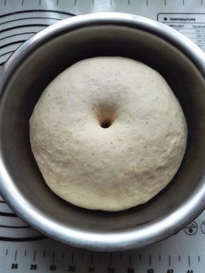 室温24度发酵一个小时，面团发酵到位