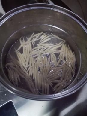 另起一锅入宽水，水开后放入面鱼鱼，很快面鱼鱼浮起，捞出盛入碗中；