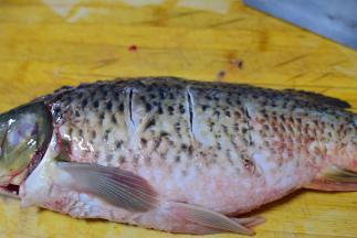 鲤鱼去鳞，去内脏，去腮，洗净