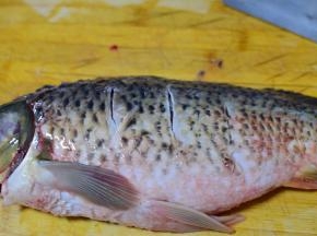 鲤鱼去鳞，去内脏，去腮，洗净
