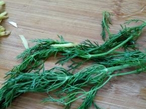 小茴香洗净