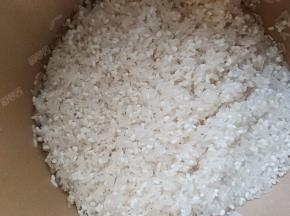 大米、糯米各一杯洗净