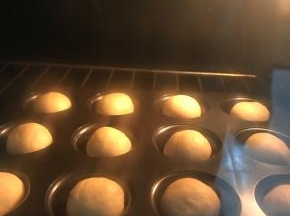 放温暖湿润处发酵至比模具略高（不用2倍大）