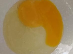 蛋黄单独倒一个碗里
