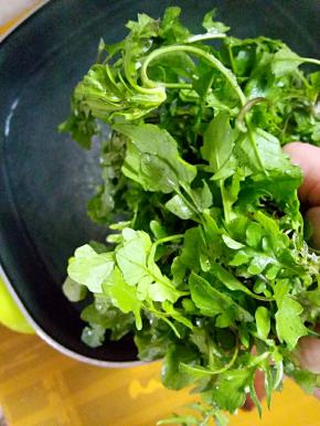 把齐菜去掉杂质，洗净，放入已开的水中焯个水，变色之后赶紧捞出来。