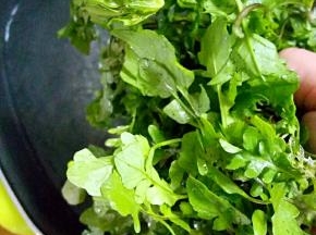 把齐菜去掉杂质，洗净，放入已开的水中焯个水，变色之后赶紧捞出来。