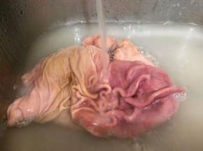 用水冲洗干净