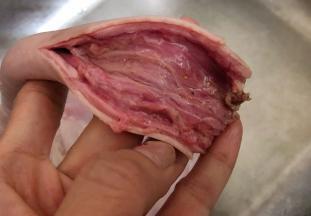 再把肠子剪开洗干净备用