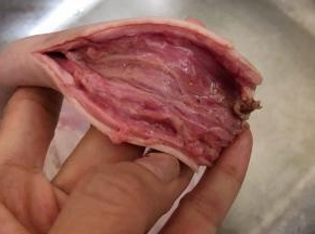 再把肠子剪开洗干净备用