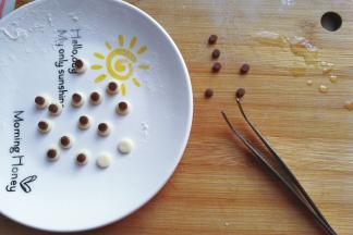 接着把棕色小圆片用镊子夹着沾点水摆在白色小圆片上；