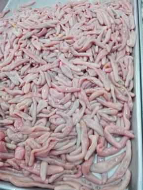 这就是海肠，已经处理过的海肠，肠子已经去掉；活的海肠估计一看照片会吓跑一批的；