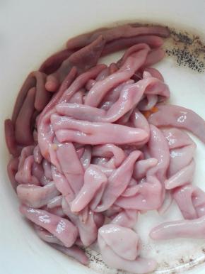 准备海肠，清洗干净，洗掉它的粘液