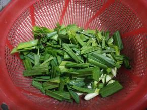 青蒜切成小段。