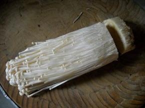 金针菇切去根部、清洗干净沥水备用。