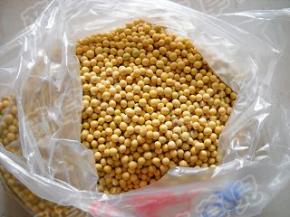 准备好干黄豆。