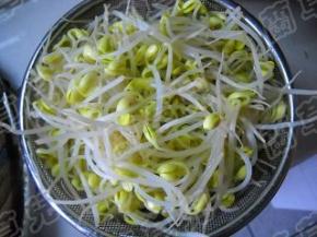 准备好黄豆芽。