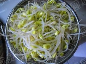 准备好黄豆芽。