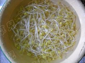 黄豆芽充分浸泡一下，洗净。