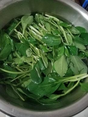 鸡毛菜别忘记提前洗净备用。