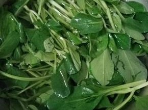 鸡毛菜别忘记提前洗净备用。