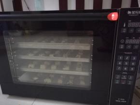 送入温暖处发酵（我用UKOEO风炉发酵）