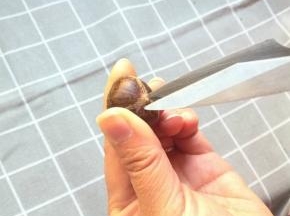 2. 用剪刀把栗子的顶端剪一个十字口