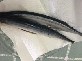 然后用厨房纸吸干水分